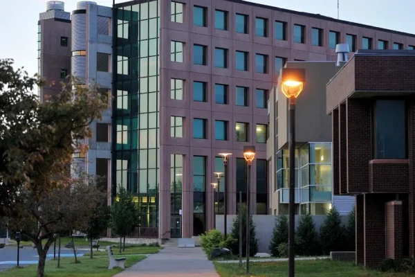 lahead university